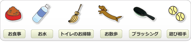 お世話内容