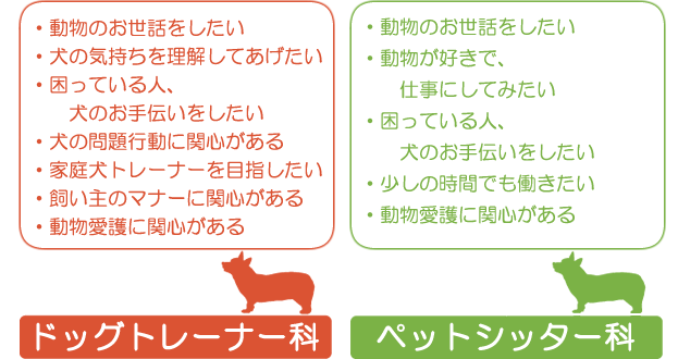 福岡県北九州市若松区ペットアカデミーpepedog ペペドッグ プロ養成スクール